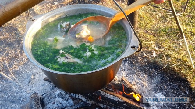 Полевая кухня