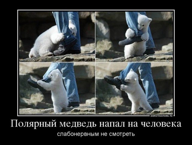 Злые шутки или минутка сарказма на ЯП-е, 16+