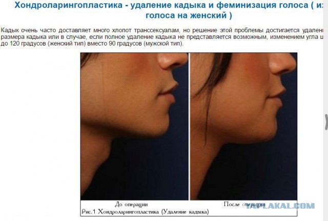 Не ходите, дяди, вы в Таиланд гулять