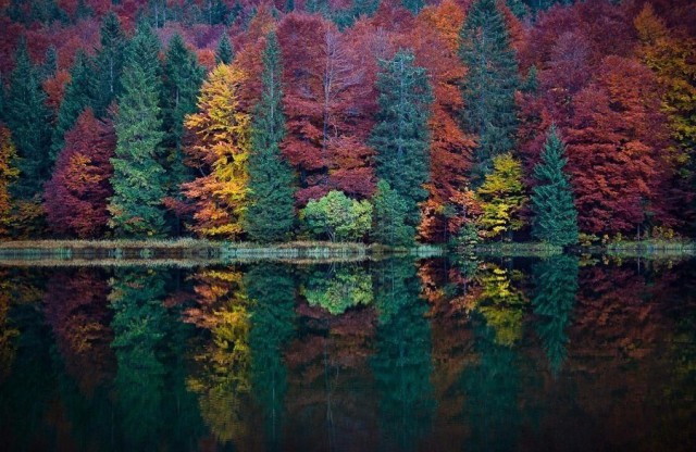 Разное картинки и т.д