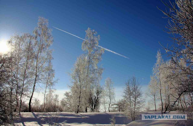 Простофотки