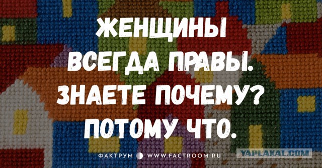Высказывания из Интернета