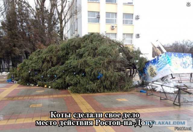 И четырех дней не простояла
