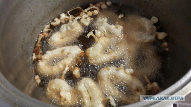 Кольца кальмара в пивном кляре:)