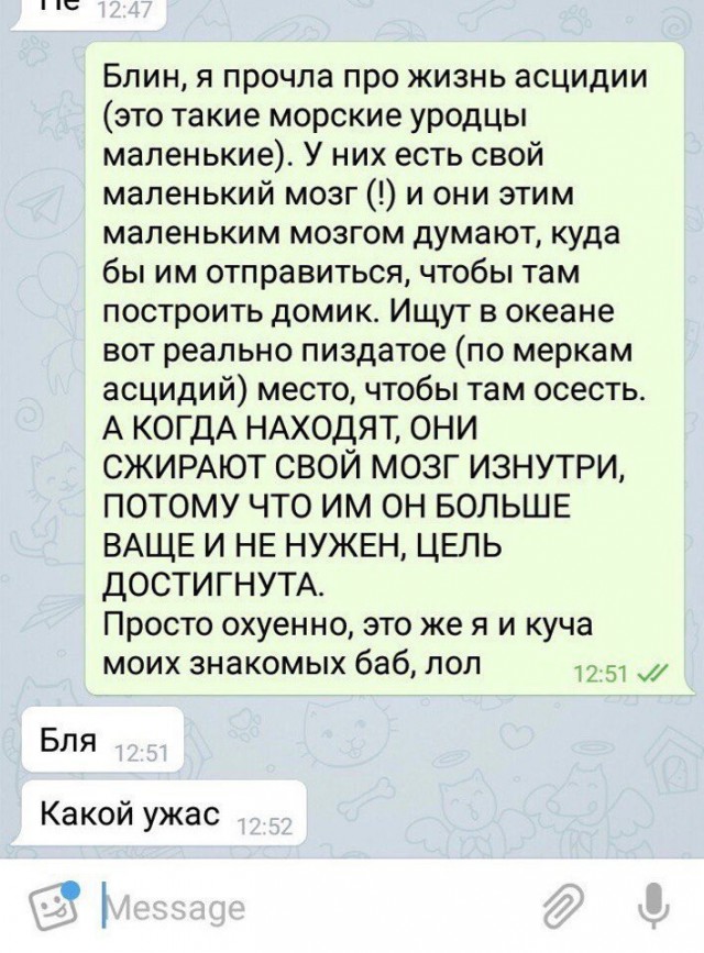 Америка давно травит русских биологическим оружием. Э.Сноуден