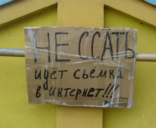 Картинки всякие для поднятия настроения!