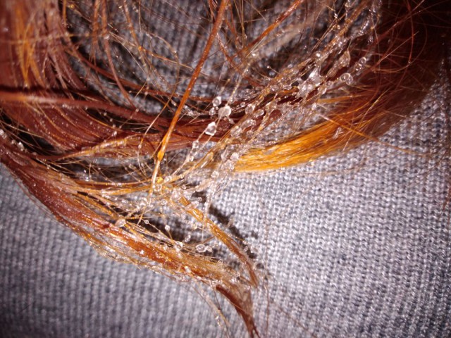 Одевайся, дура! Женщина в зимних условиях