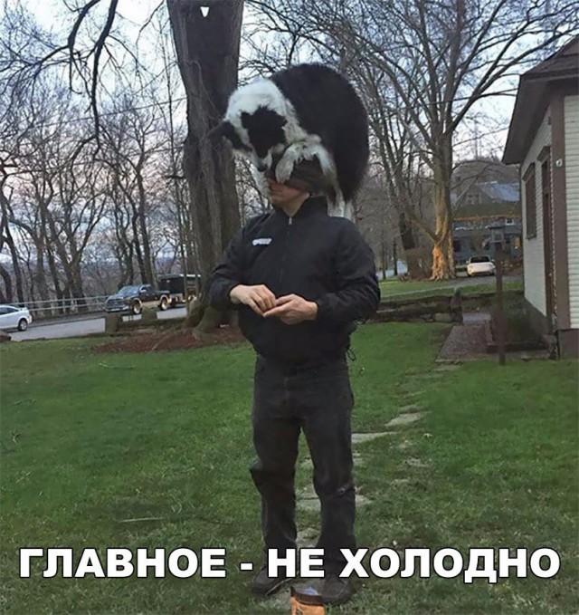 Нестандартный юмор