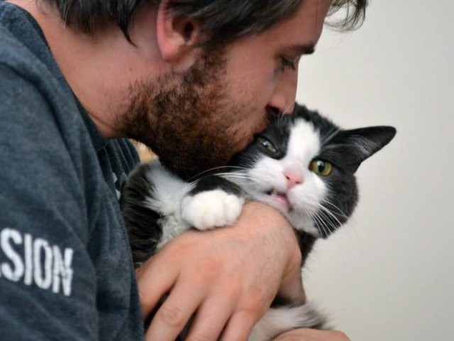 Не все котики любят обнимашки