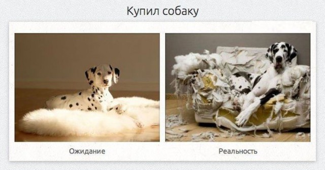 Ожидание против реальности