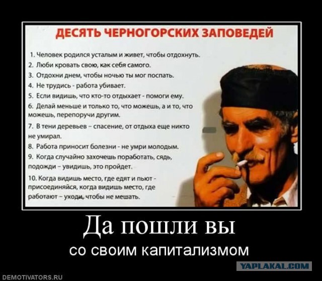 Подборка интересных и веселых картинок