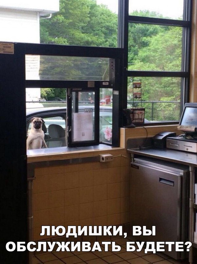 Прикольные картинки абавсём