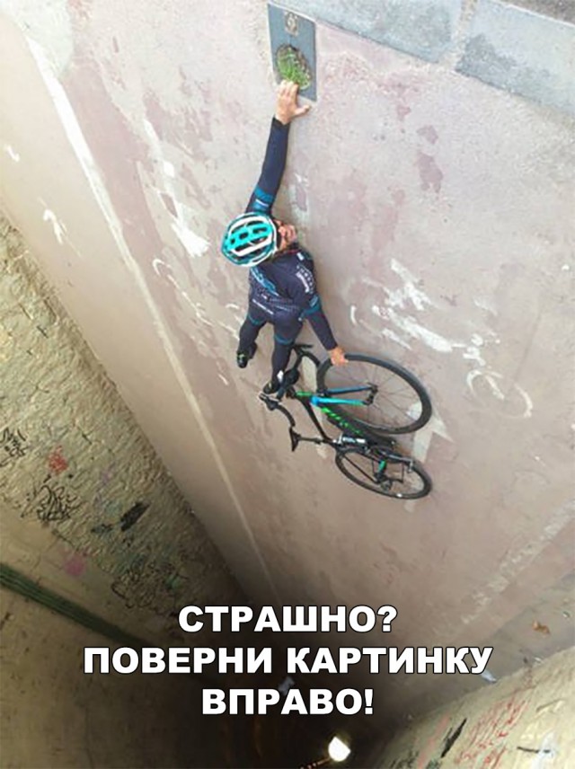 Прикольные картинки абавсём