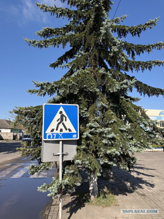 Как я опять съездил на Западную Украину (август 2018)