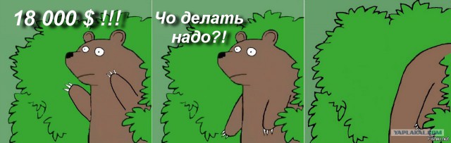 Сколько Порнхаб платит за хоумвидео?