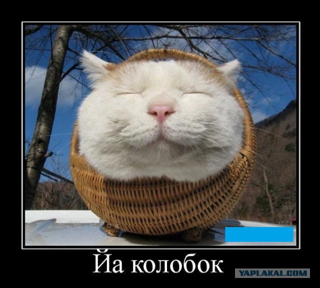 Доктор, откуда у вас такие картинки? #2
