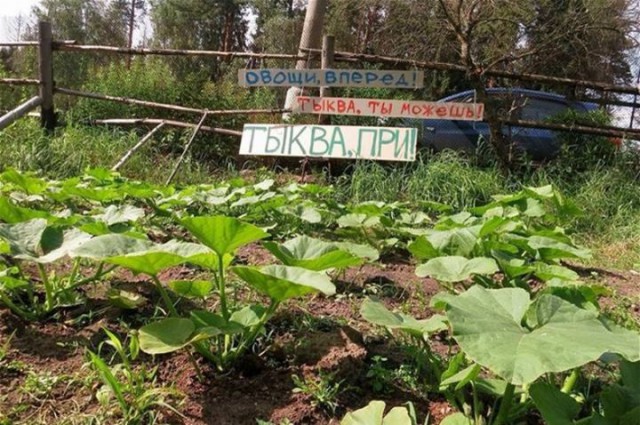 75 убийственных объявлений и надписей, мимо которых Вам не пройти