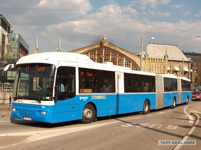 Игра на ЯПе: Угадай АВТО-3