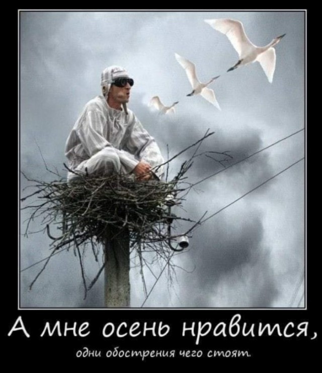 Люди слышат странный гул: «Пульс Земли» дал глобальный сбой