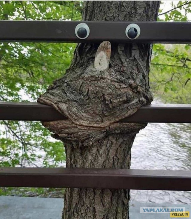 Вернул мусор
