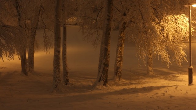 Немного зимних фото