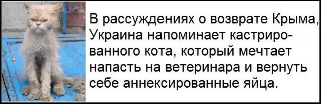 Под Харьковом упал и загорелся самолёт
