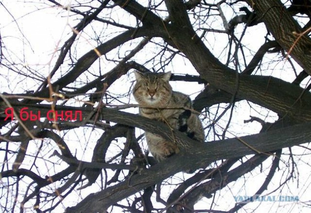 Фотожаба: А ты?