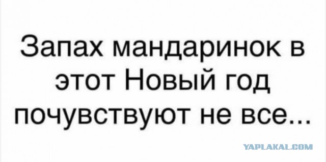 Юмор в картинках 11.12.20