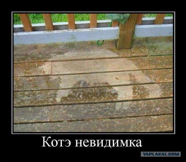 Что нам снег, что нам зной