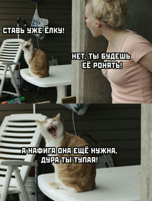 Бур короля Артура