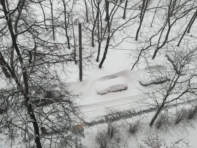 Бедные москвичи