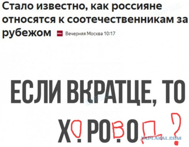 Весёлый полтишок 20.03