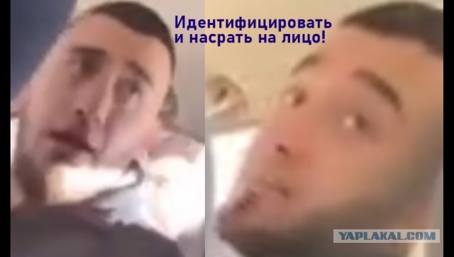 ФигА он сообразительный! На программиста учится?