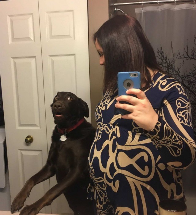 Калейдоскоп картинок