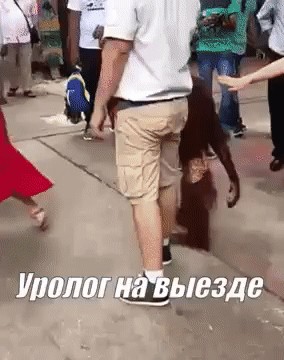 Картинки с надписями и всякие жизненные фразы 5.06.21