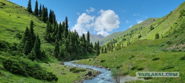 Кулинарная общалка