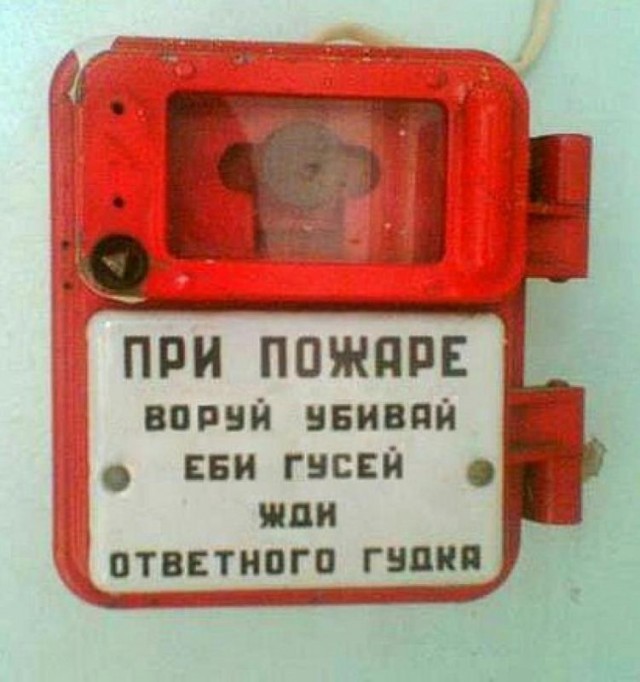 Е@и гусей, говорили они