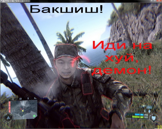 Crysis, 3D shooter. Требования высоки