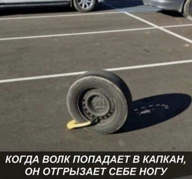 Картинки и мемы для настроения 01.12.2021