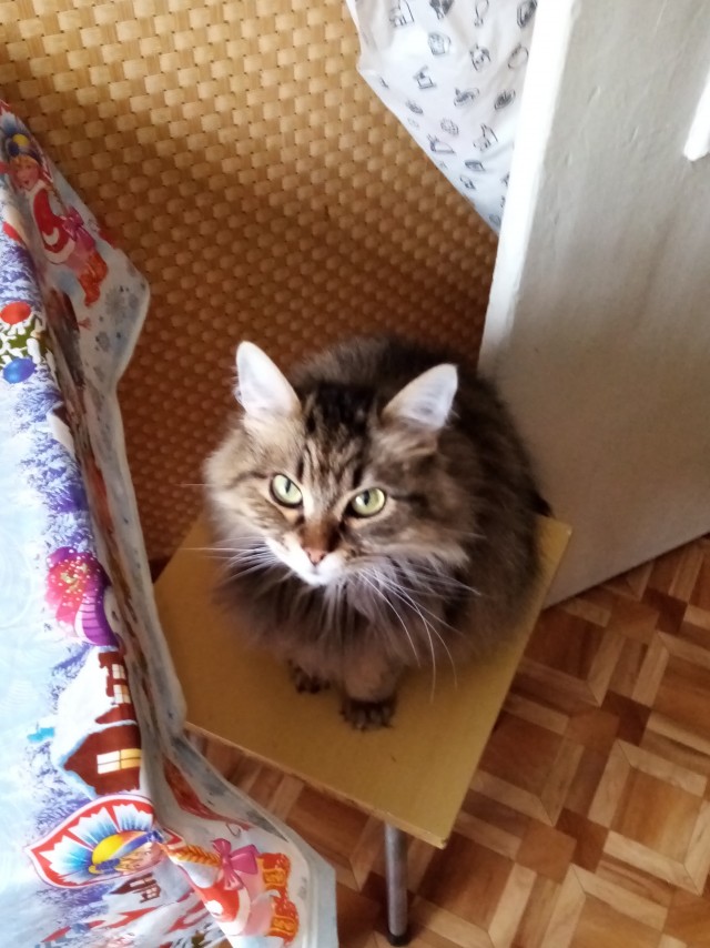 Картинки на*уй не нужны, картинки на*уй не важны