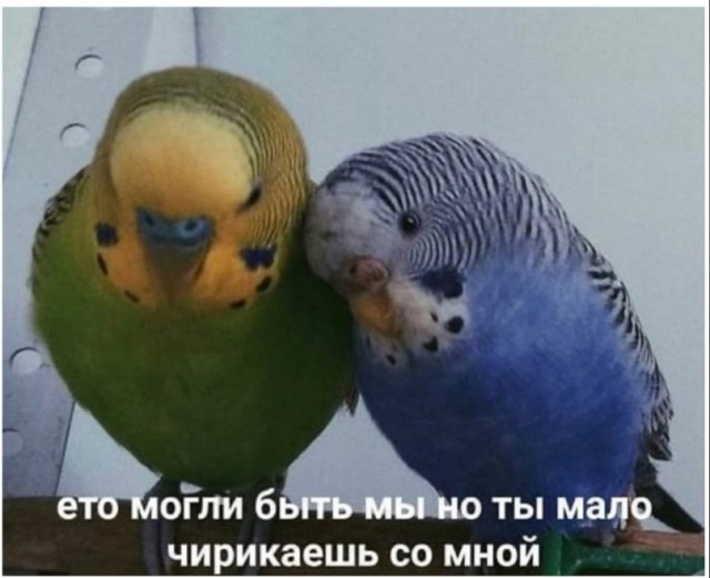 Так себе картинки 05.12.21