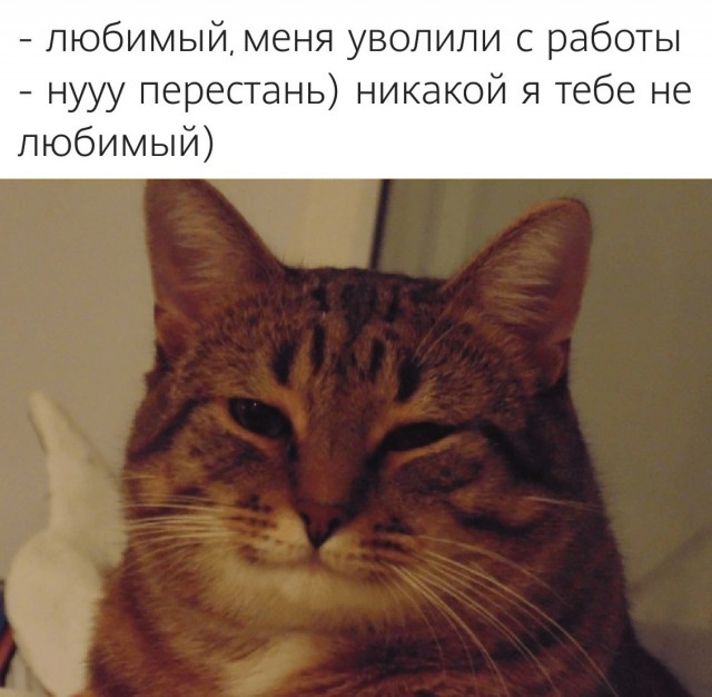 От_ношения