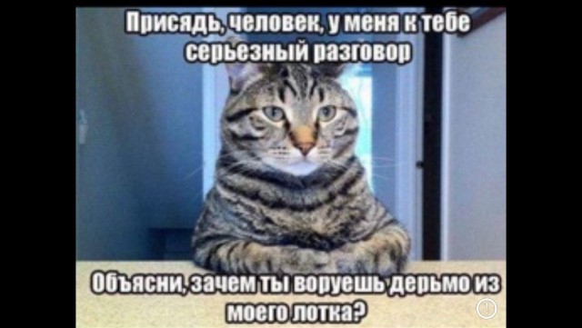 Картинки и буквы 15.07.22
