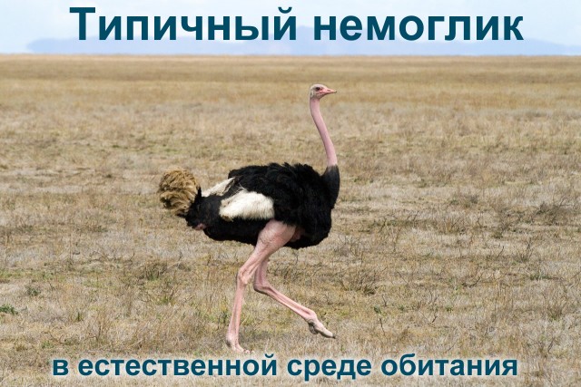 Да не летали они ни на какую Луну ))