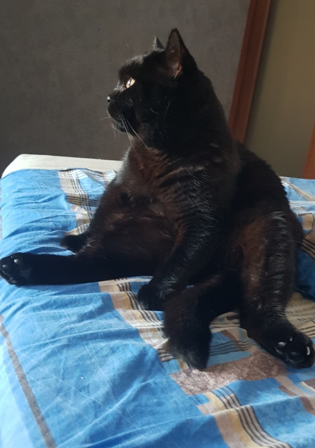 Котовторниковское