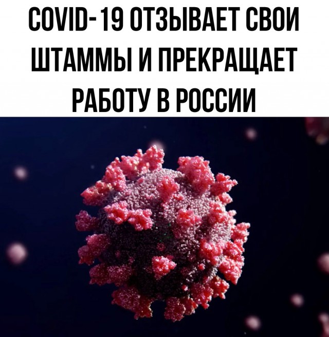 Чуток картинок 04.03.22