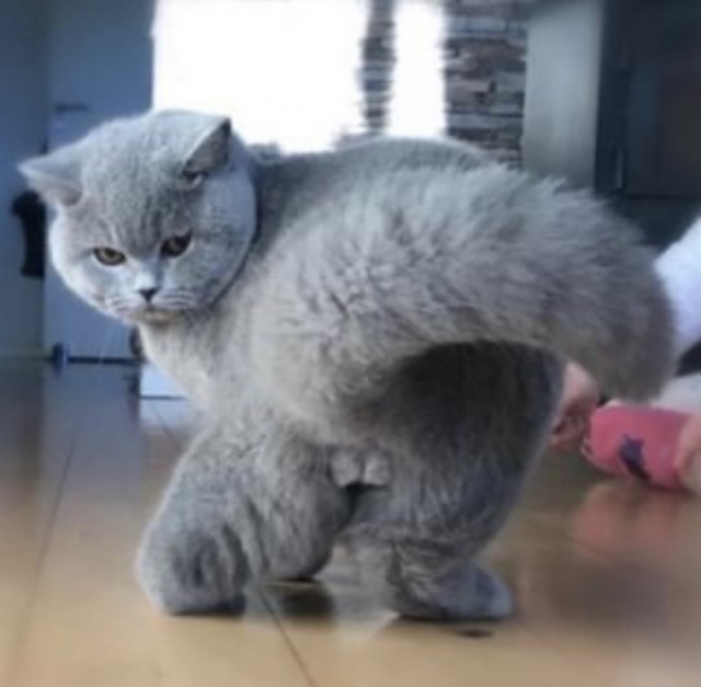 А что, уже вторник?