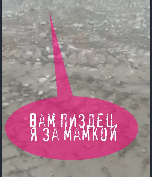 Серьезная киса