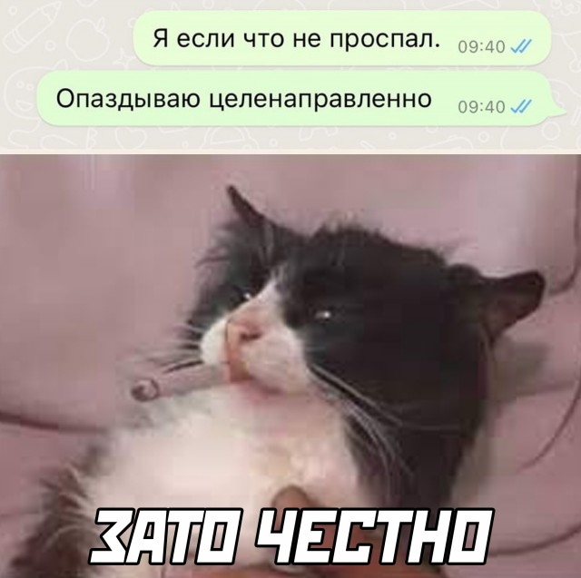 Картинки и мемы для настроения - 15