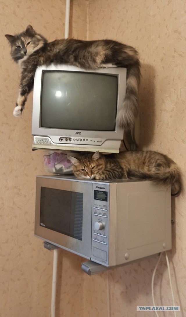 Просто мне сюда надо
